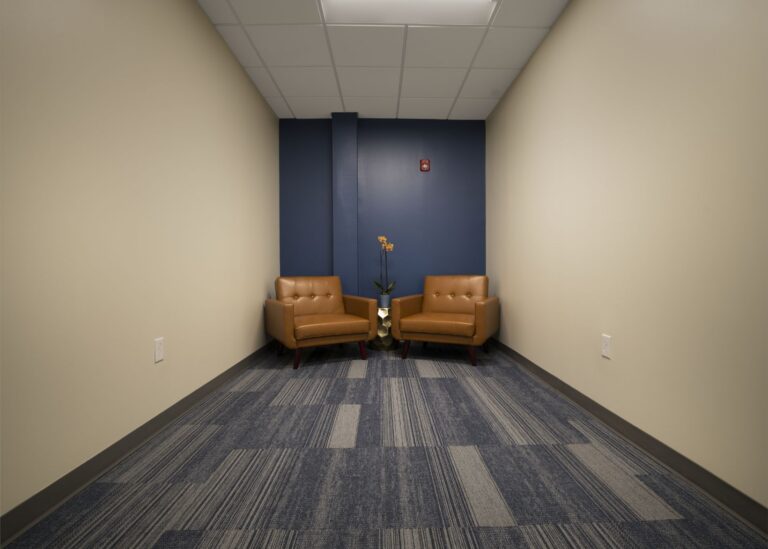 Two brown armchairs sit against a blue accent wall in a narrow room with beige walls and a blue patterned carpet. A small table with a potted plant is placed between the chairs. Ceiling lights illuminate the space.